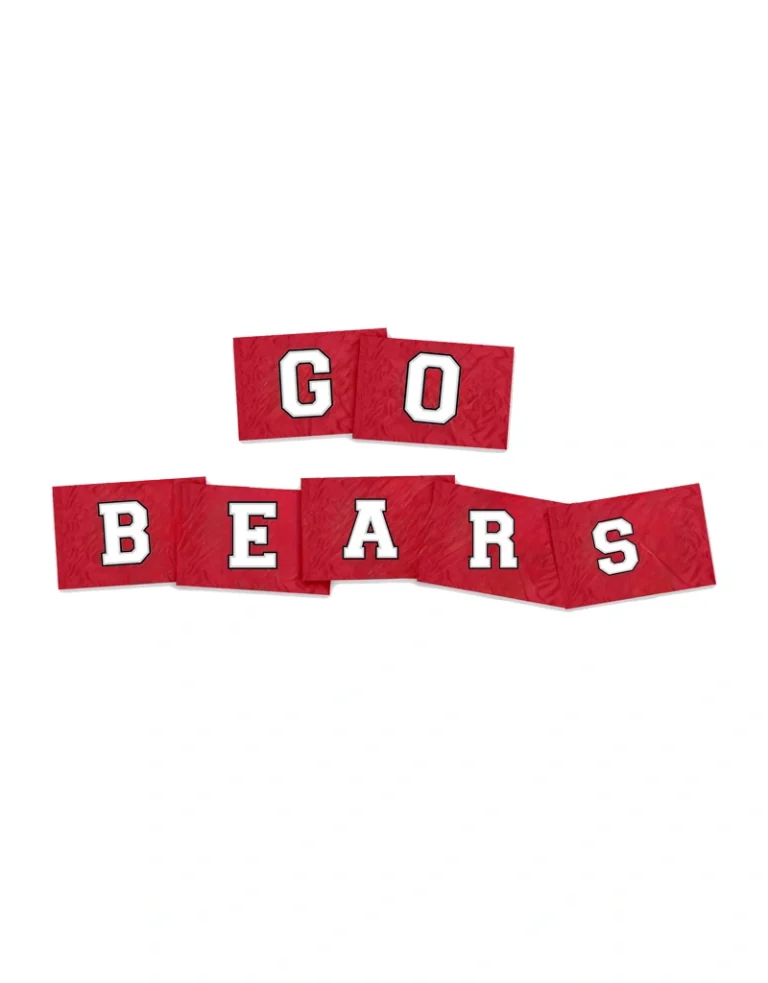 Home Page 8 Spirit Letter Flag One Sided