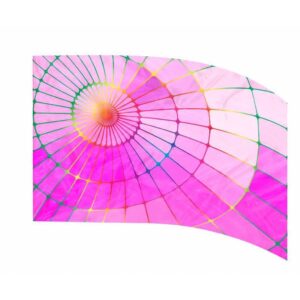 PERFORMANCE DIGITAL FLAG - DIGI704