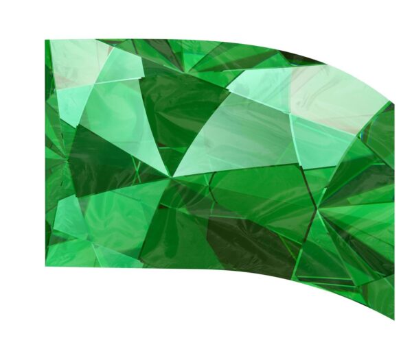 DIGI FLAG 407